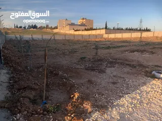  8 فرصة  للاستثمار في أرض بموقع مميزة في المفرق –متعدد الاستخدام- طريق رحاب - التحويلة حوض الوسية