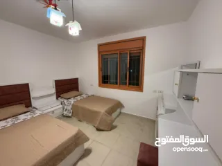  21 شقة مفروشة / الماصيون