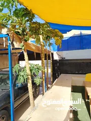  13 شاليه للبيع المستعجل الغور جوفة الكفرين و ممكن البدل على شقه او قطعة أرض قريبه من بيادر وادي السير