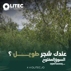  5 ماكينة قطف الزيتون الايطاليه Olitec