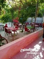  8 شاليه متنزه  استراحة قهوة