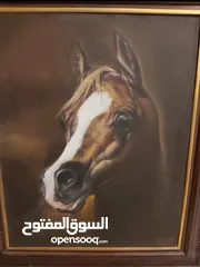  24 نوادر أنتيك الصدف مرصوص والزخرفة كاملة  مو منثور ويادوب ينشاف وينعد بالعدد ويتسمى صدف