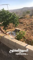  5 أرض بسعر مغري