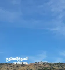  3 ارض للبيع سكني دونم ونص في برطعة  ايضا 11 دونم زراعي للبيع