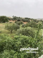  6 منزل منعزل مع حديقة فواكه 3 غرف صاله مجلس بلكون مطبخ مجهز مواقف سيارات