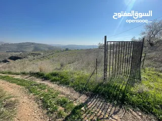  1 ارض دونم واحد للبيع