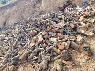  9 حطب زيتون زند وقرمي ناشف حطب لوزيات ناشف
