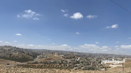  1 أراضي للبيع في اجمل مناطق شفابدران زينات الربوع من المالك مباشره باسعار مميزه