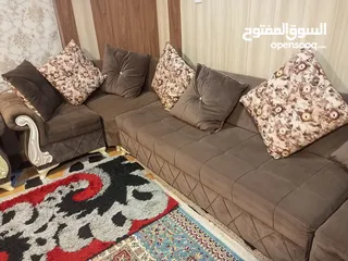  4 تخم قنفات تركي