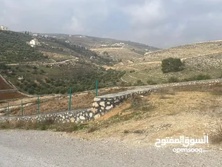  3 قطعة ارض زراعية منطقة ام رمانة قريبة من التنظيم