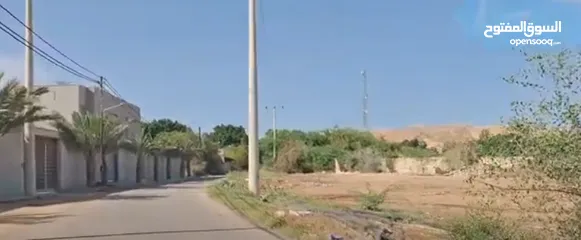  2 أرض إستثمارية ولقطة للبيع المستعجل دونم في شميساني الغور لقطة اللقطات