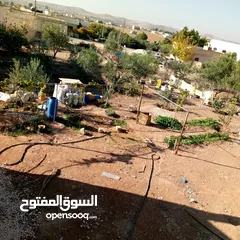  5 بيت للبيع المريجمه