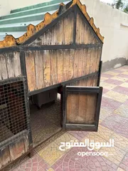  5 Dog cage for sale