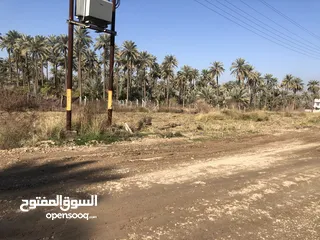  1 قطع اراضي للبيع 200—300—400 حسب الطلب