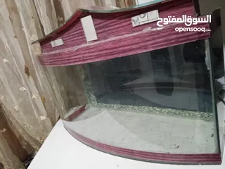  2 حوض سمك كبير