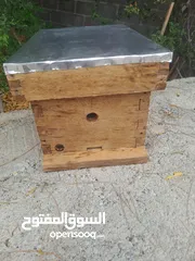  1 صندوق خلية نحل عسل من جذوع النخيل