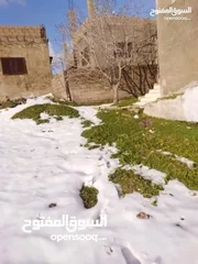  11 بيت مستقل 156م على قطعة أرض مفروزة (4 حدايد) 710م للبيع في ارحابا/اربد