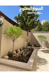  21 Furnished Apartment to Rent  ( Property 42256 )-174775233