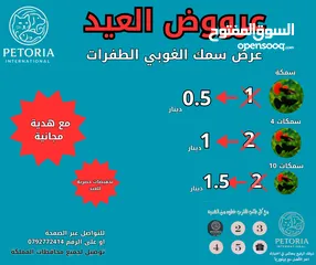  10 عرووض بمناسبة العيد على مستلزمات الاسماك