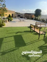  18 مزرعة الطلة الغربية بيرين