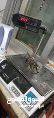  6 مجسمات حيوانات نحاس