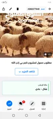  1 مطلوب ممول لمشروع  في باذن الله في تربية الغنام