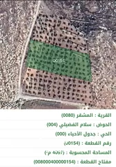  2 ارض المشقر 4100م2 اراضي عمان مزرعة زيتون