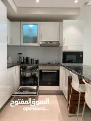  5 1 BR Amazing Furnished Studio Apartment in Jebel Sifa for Sale