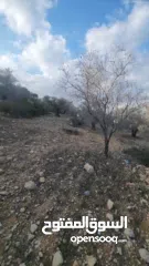  3 أرض للبيع، من المالك