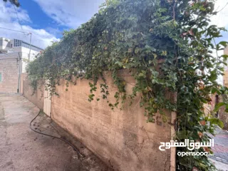  5 عيس جورج جبرية