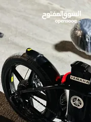 10 بسكليت كهرباء عريض