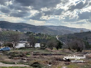  1 نمرة ارض للبيع في اجمل منطقة في نابلس عصيرة الشمالية ذات اطلالة رائعة على مدينة نابلس