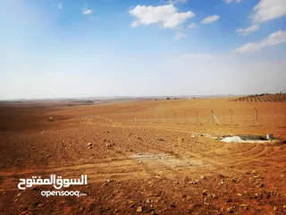  5 للتشييك المزارع وملاعب