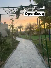  4 استراحه للايجار Farm for daily rent