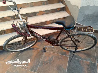  1 بسكليت للبيع