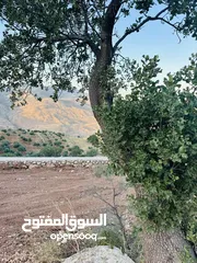  9 أرض مميزه _الصبيحي _ بيوضه الشماليه