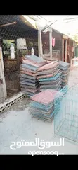  1 قفاص حمام قنون