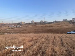 4 ارض للبيع في طبربور مستوية  بقوشان مستقل