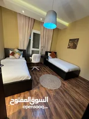  25 شقة مفروشة فاخرة سوبر ديلوكس اعلان رقم (D318)