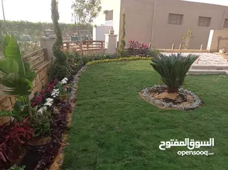 16 نجيل طبيعي بسبيلم بيور