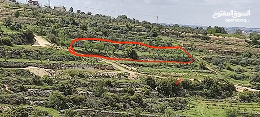  2 ارض بمساحة دونم