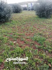  2 ارض للبيع في الجبارات طريق مخيم غزه مقابل الزراعه الشارع الرئيسي