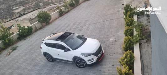  2 توسان 2019 فل الفل عداد قليل جيب نخب