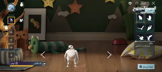  11 حساب ببجي قوى