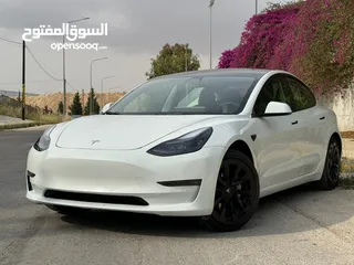  1 Tesla 3 2023 Standard Plus
