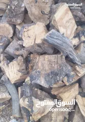  17 حطب زيتون زند وقرمي ناشف لوزيات حرجي