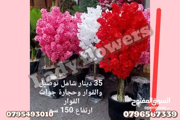  2 شجر اللوز الصناعي اقرب للطبيعي نيلي ابيض زهر
