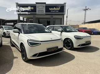  2 Dongfeng Nammi 01 2023 تقطع بلشحنه 430 كيلو