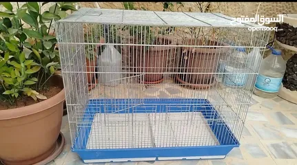  1 قفص 6 معالف صيني للبيع