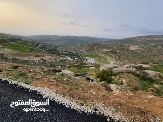  1 أرض للبع ومن المالك مباشرة مطلة على فلسطين